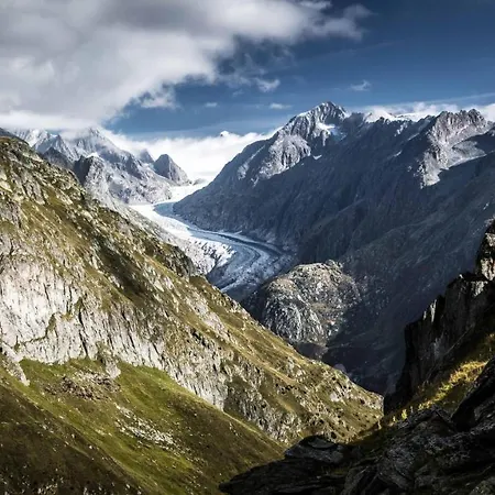 Lotus Og Appartement