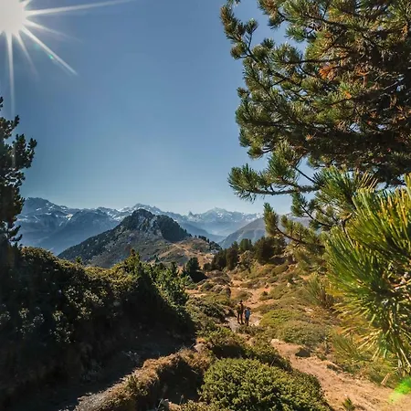 Appartement Lotus Og Fiesch